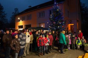 Tradiční rozsvěcení vánočních stromků se začátkem adventu 2014