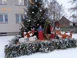 Vánoční stromečky ve Smolivci