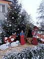 Vánoční stromečky ve Smolivci