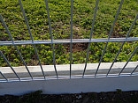 Radošice - plot a úprava terénu