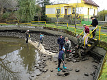 Tradiční výlov rybníčku v Mladém Smolivci 2014