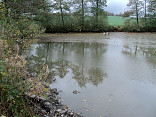 Rybník Strhaný ve Starém Smolivci