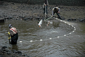 Výlov rybníčku v Mladém Smolivci